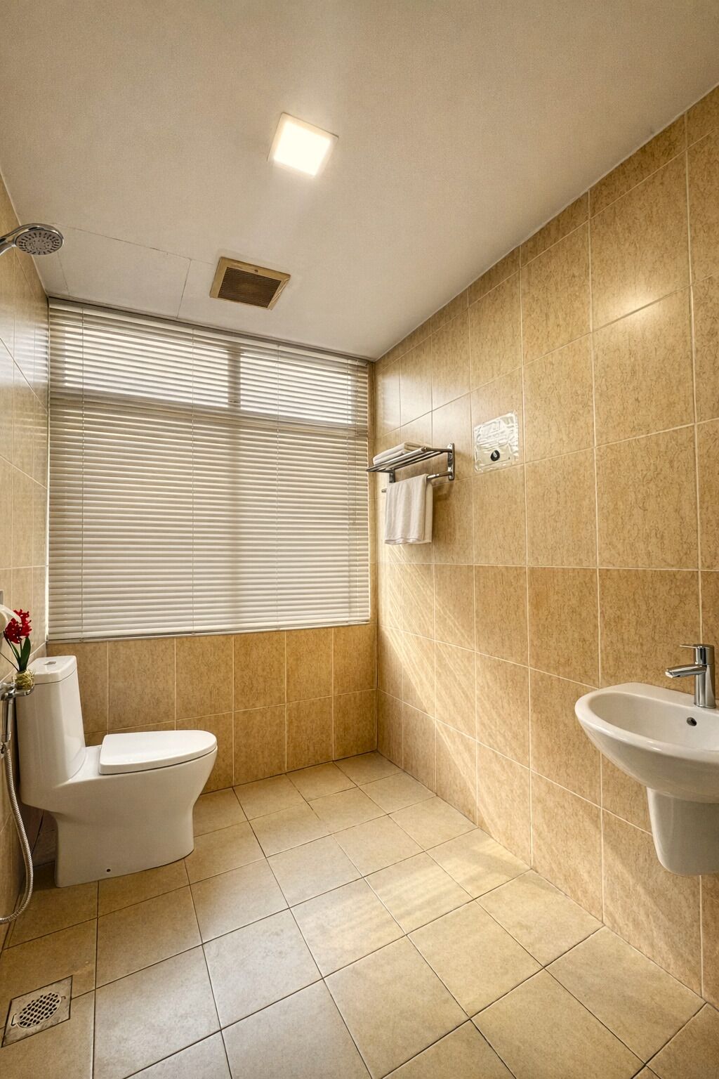 A bathroom with a toilet, a sink, and a shower.