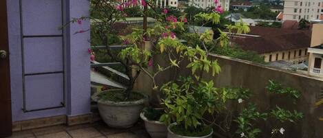 A balcony with potted plants and a view of buildings in the background.