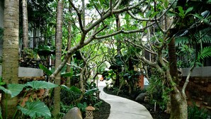 Un sendero de concreto bordeado por abundante vegetación y árboles, que conduce a un edificio.