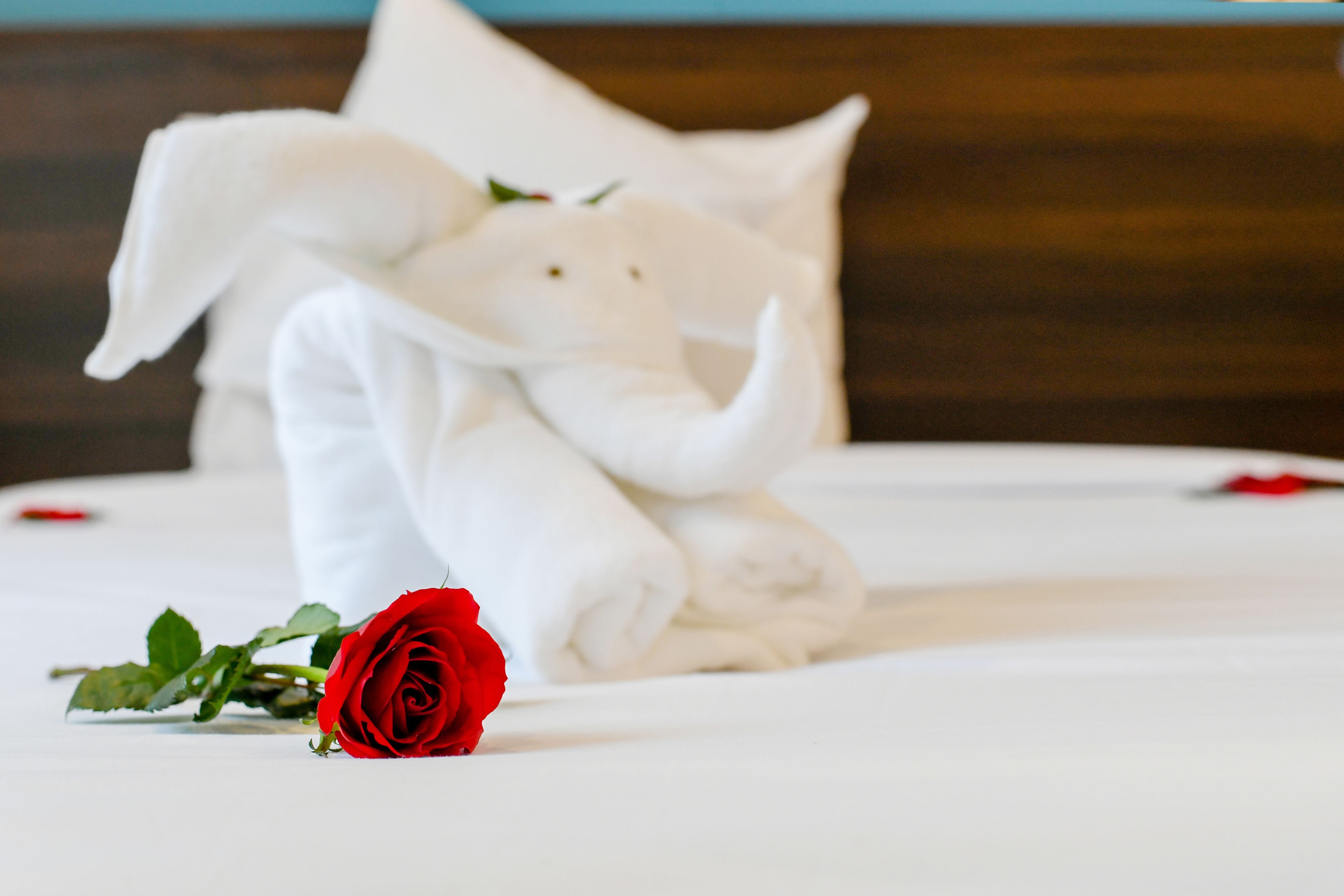 budget twin room | 1 bedroom, free minibar, in-room safe, desk