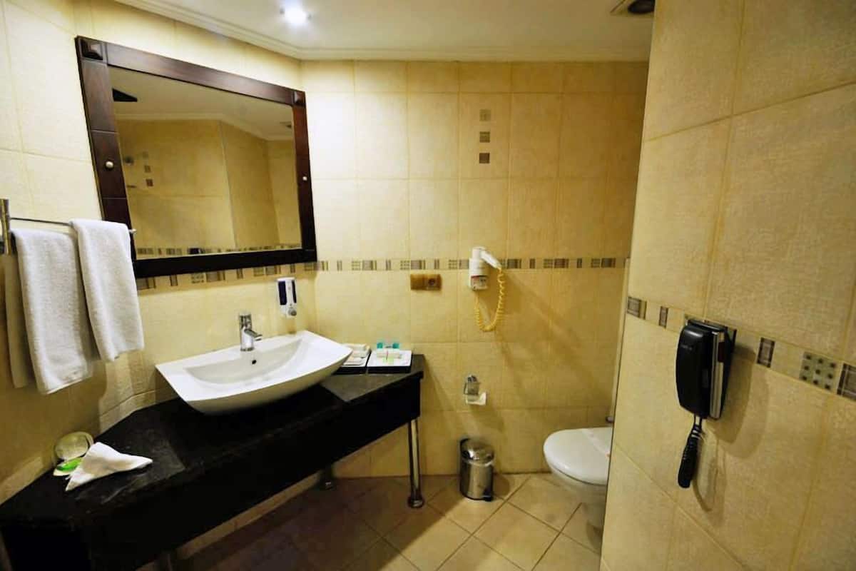 shower, free toiletries, hair dryer, slippers