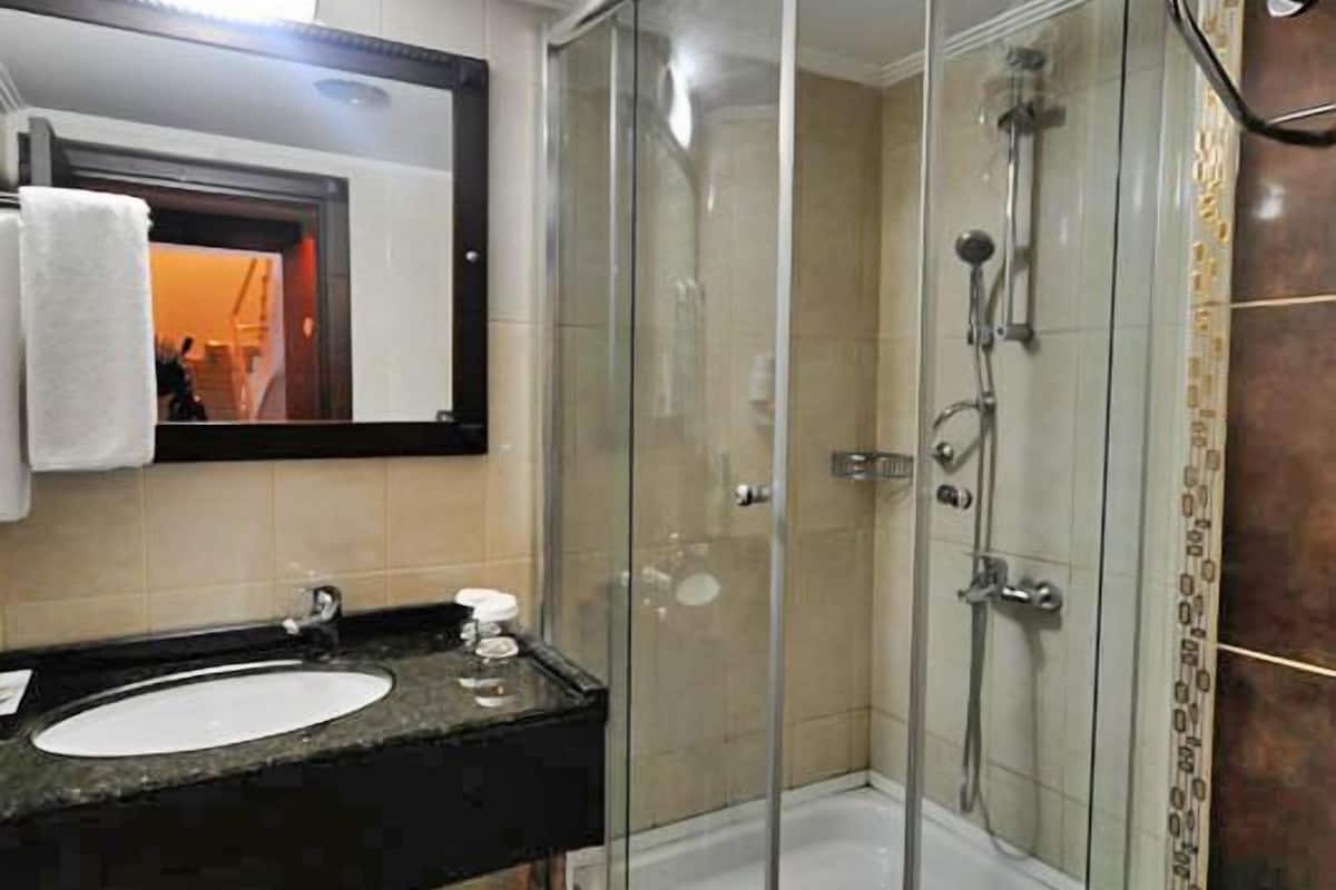 shower, free toiletries, hair dryer, slippers