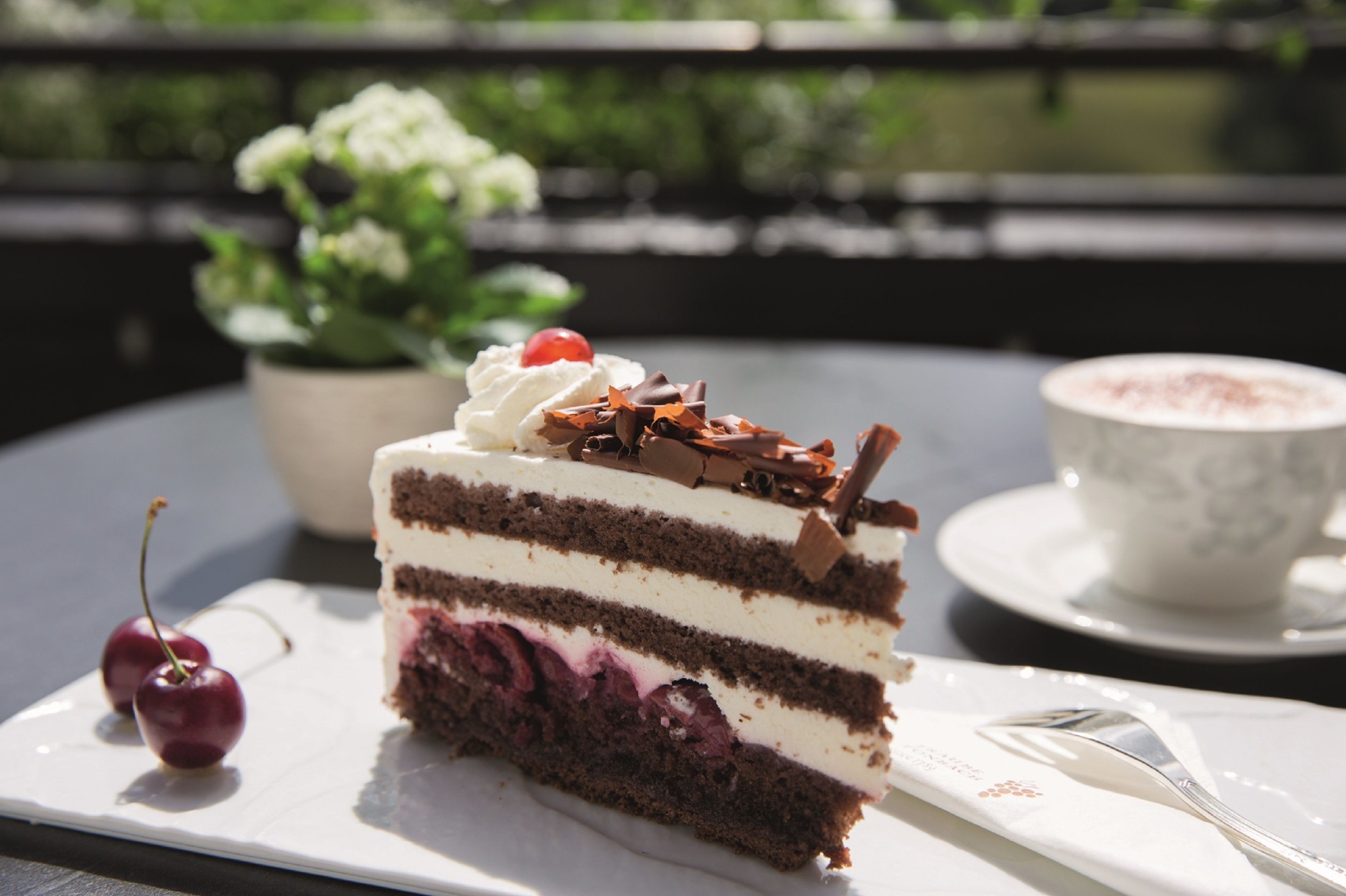 Une part de gâteau au chocolat, composé de plusieurs couches, garnie de crème fouettée et de cerises, présentée sur une assiette blanche, accompagnée d’une tasse de café posée sur une soucoupe.