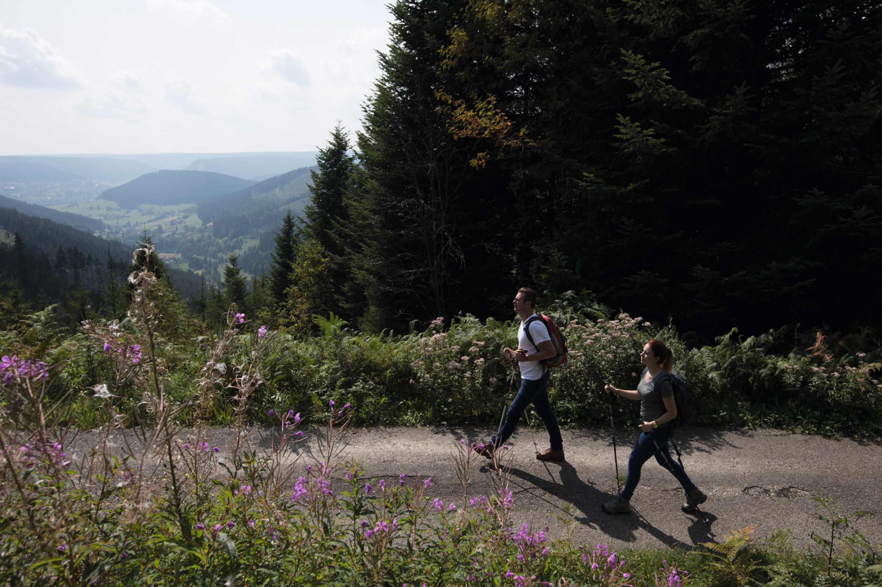 Deux personnes font de la randonnée sur un sentier bordé d’une forêt dense et entouré de montagnes.