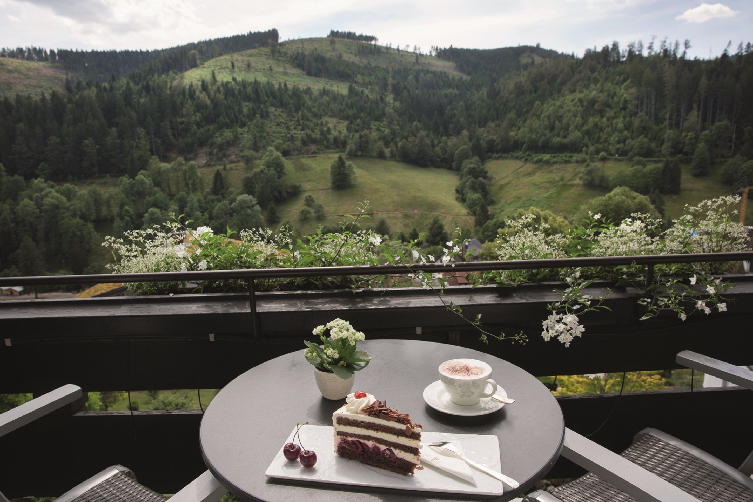 Ein Tisch mit einem Stück Kuchen, einer Kaffeetasse und einem Topfpflanzen auf einem Balkon mit Blick auf ein bewaldetes Tal.