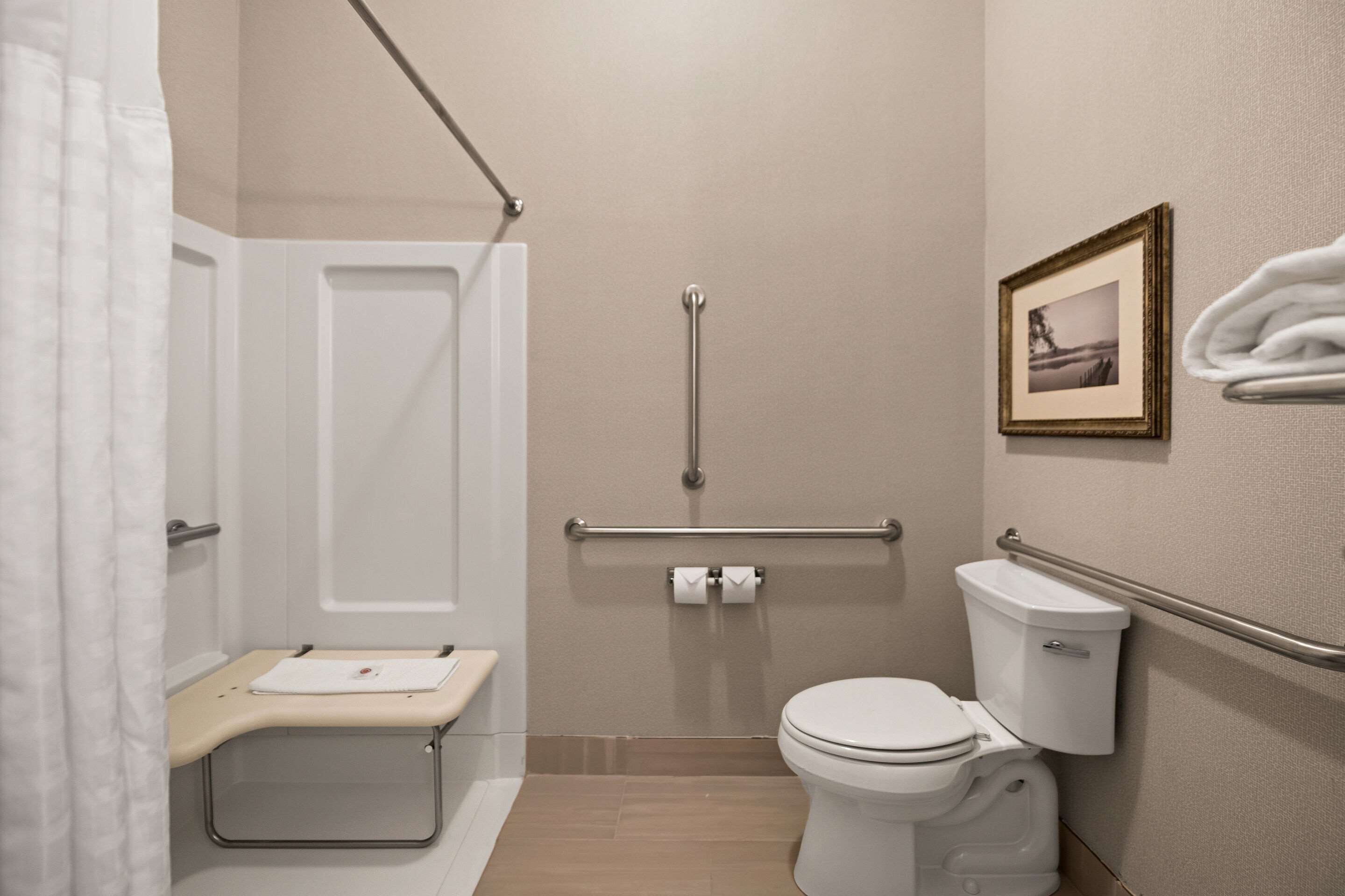 suite, 1 king bed with sofa bed, accessible, non smoking | premium bedding, pillow-top beds, desk, laptop workspace