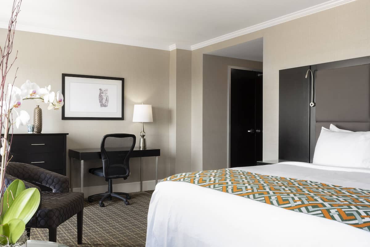 Premium bedding, down duvets, pillow-top beds, minibar