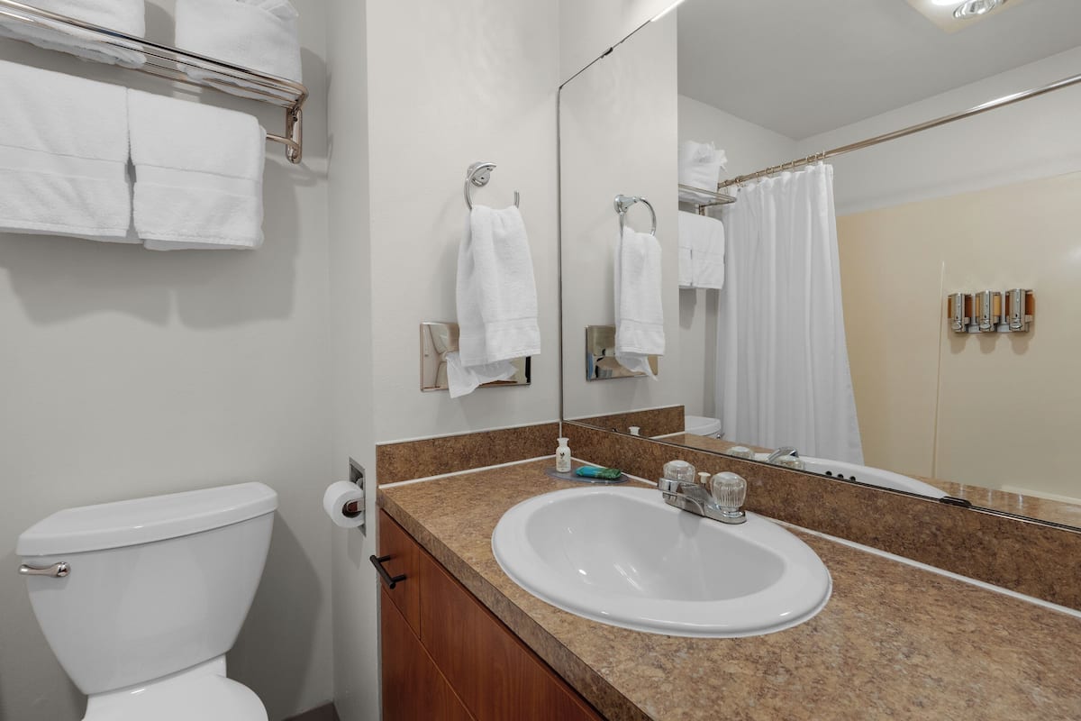 combined shower/bathtub, free toiletries, hair dryer, towels