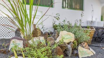 Un jardín con rocas señalizadas que identifican diferentes plantas como menta, romero y lavanda.