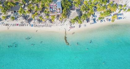 Dolphin Suites & Wellness Curacao