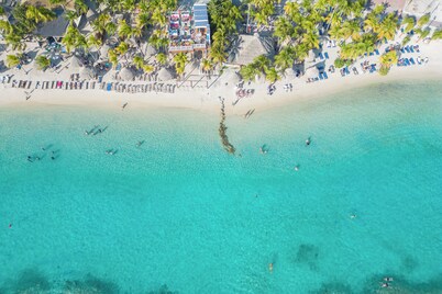 Dolphin Suites & Wellness Curacao