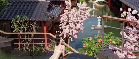 A traditional Japanese-style building with a koi pond and cherry blossoms.