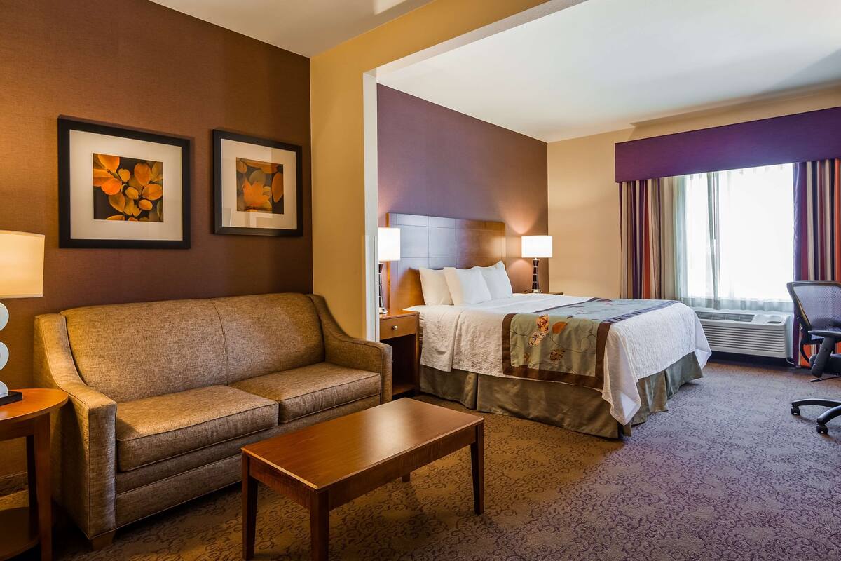 suite, 1 king bed, non smoking, refrigerator & microwave (with sofabed) | in-room safe, desk, laptop workspace, iron/ironing board