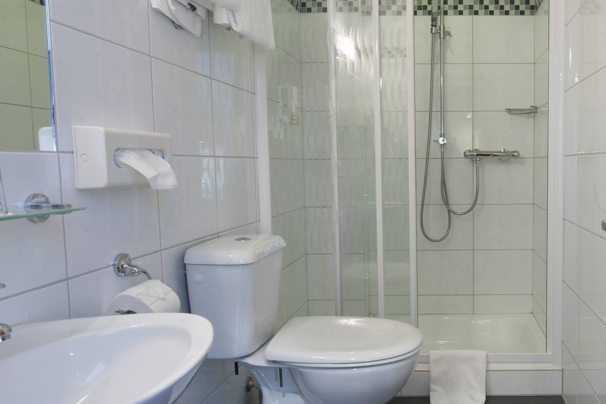 shower, free toiletries, hair dryer, towels