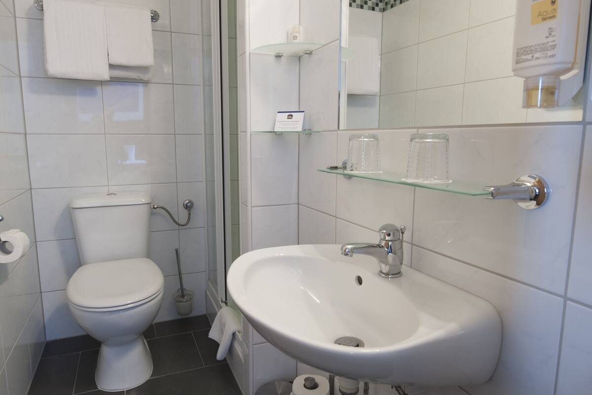 shower, free toiletries, hair dryer, towels