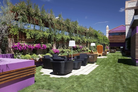 Terraza o patio. AF Pesquera