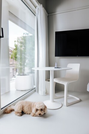 Una habitación moderna con un ventanal grande, una planta en maceta, una mesita redonda pequeña, una silla blanca y un televisor montado en la pared.