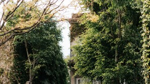 施設の敷地
