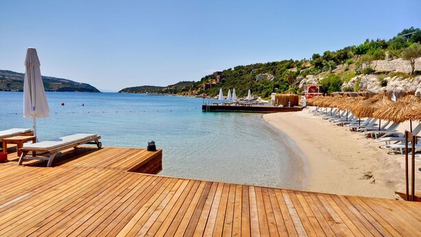 Muelle