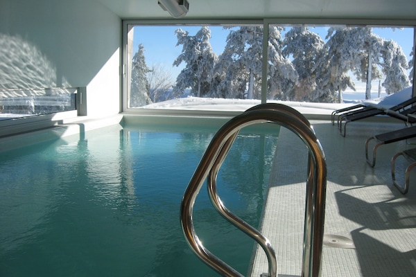 Indoor pool, sun loungers
