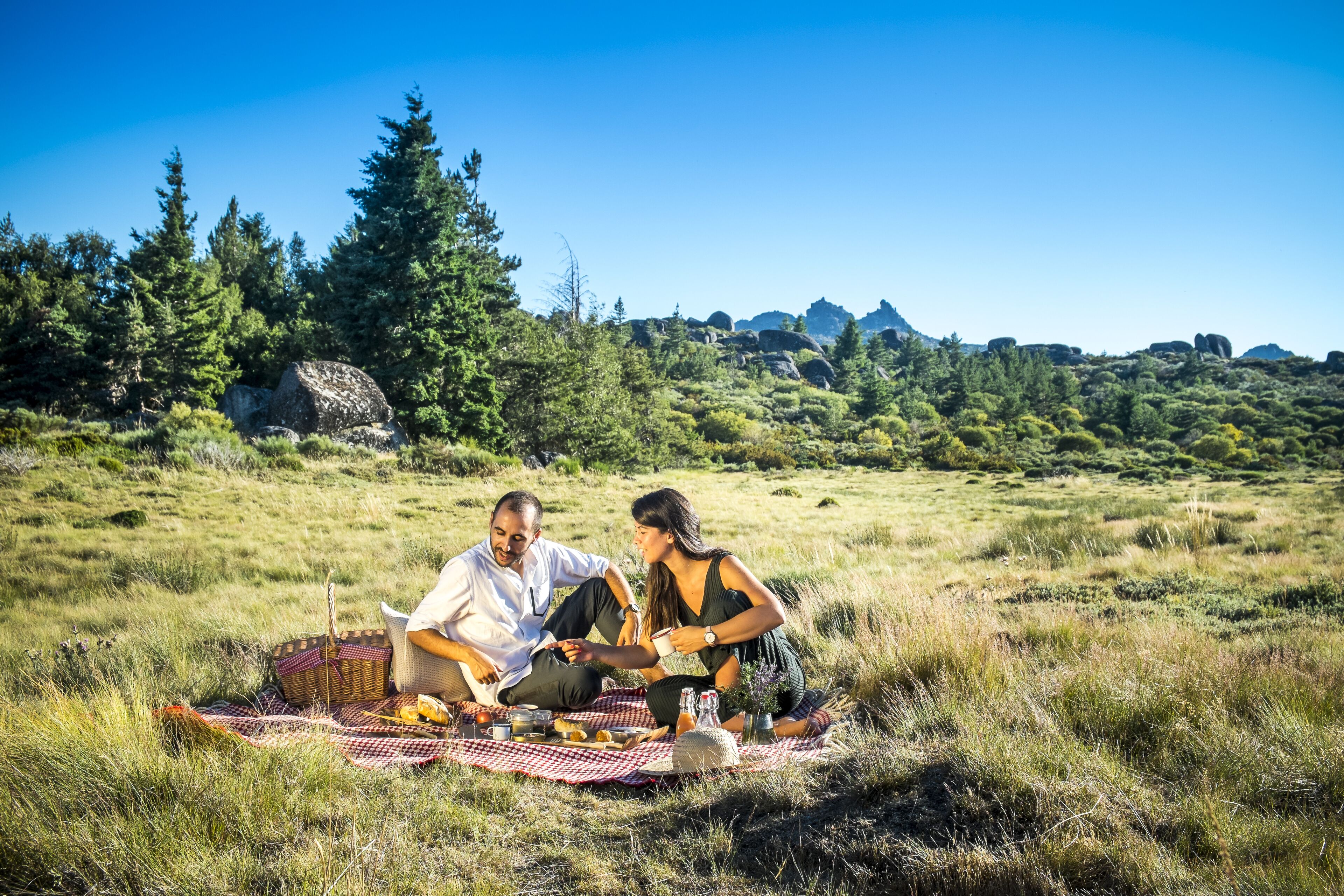 breakfast, lunch, dinner served; fusion cuisine, garden views