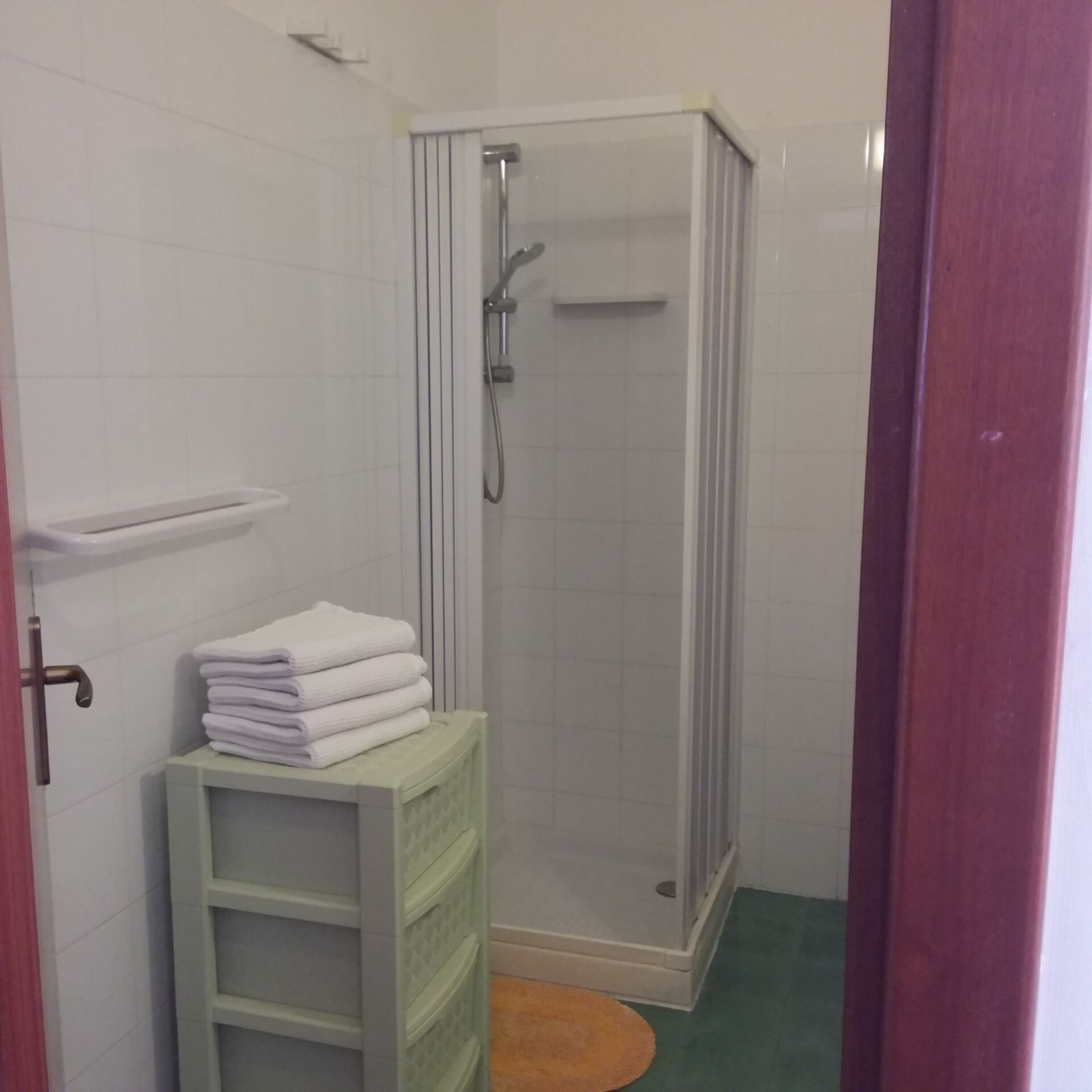 A small, enclosed shower area with a glass door, a white towel rack, and a green storage unit.