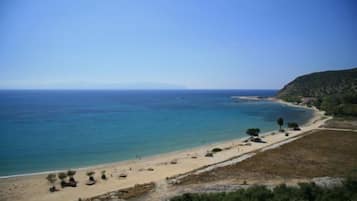 Plage, bar de plage