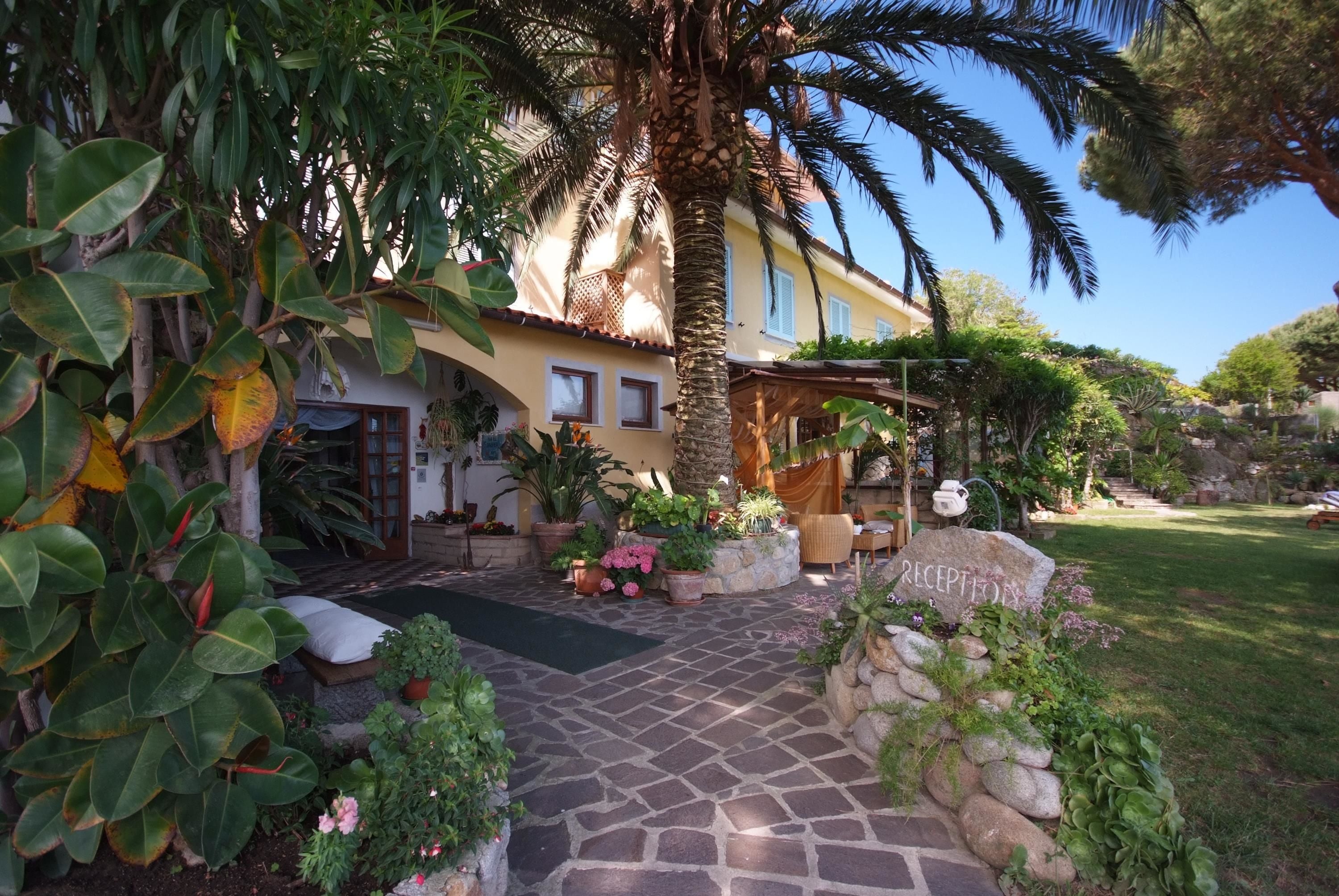 A house with a stone pathway leading to a covered porch, surrounded by lush greenery and potted plants.