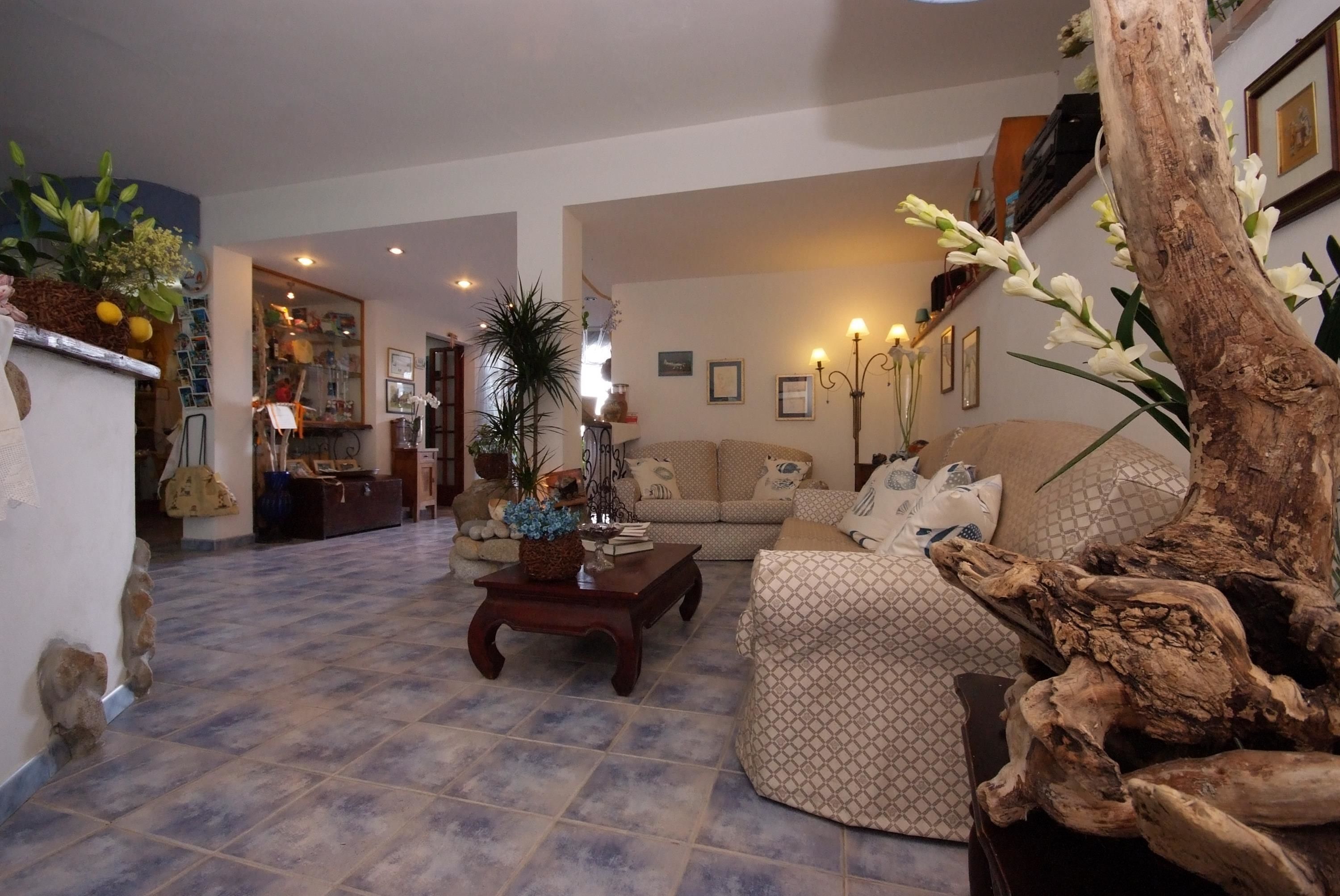 Sala de estar com sofá estampado, mesa de centro e plantas decorativas.