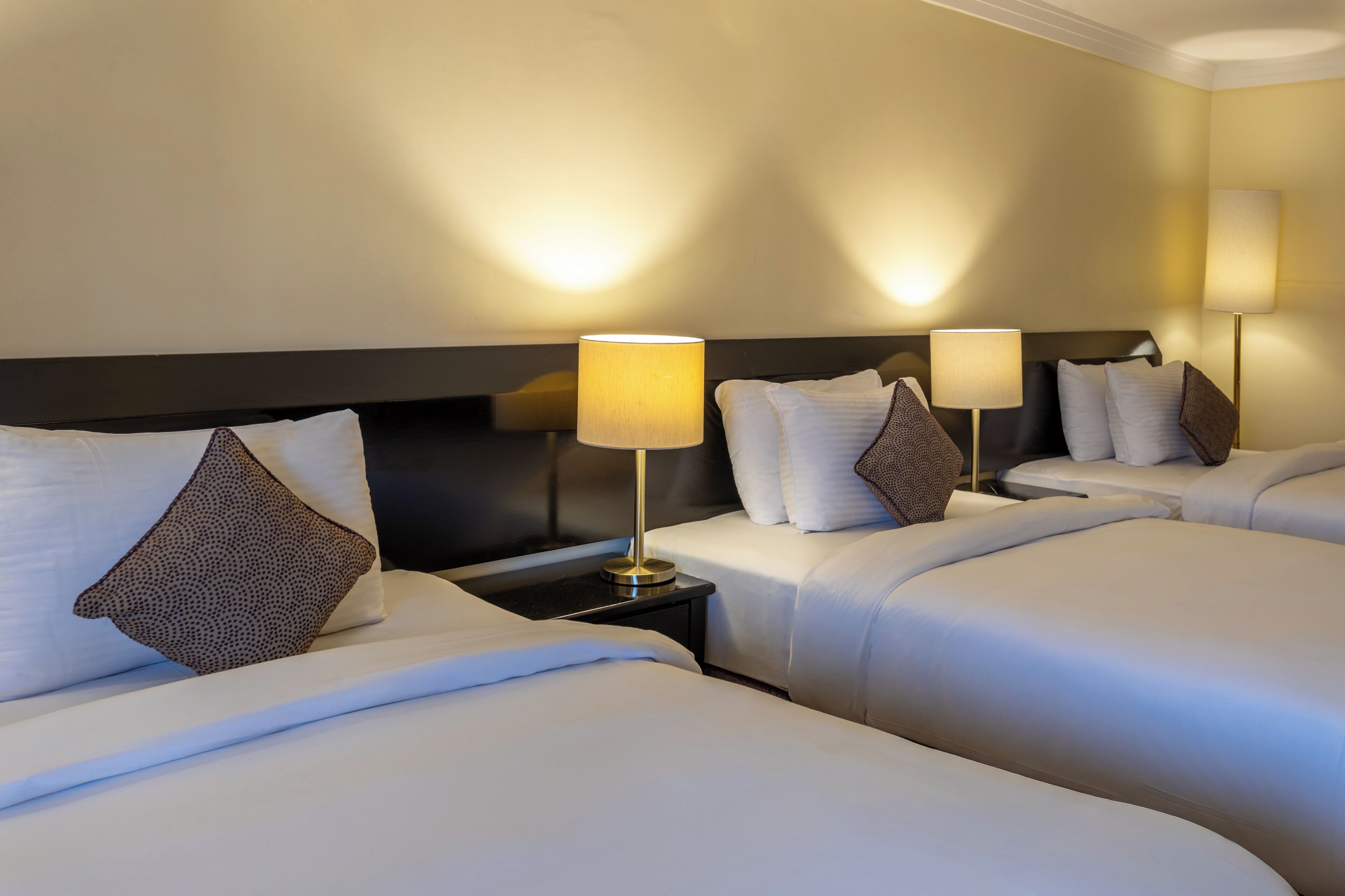 Phòng 3 cơ bản | Minibar, két bảo mật tại phòng, bàn, màn/rèm cản sáng 