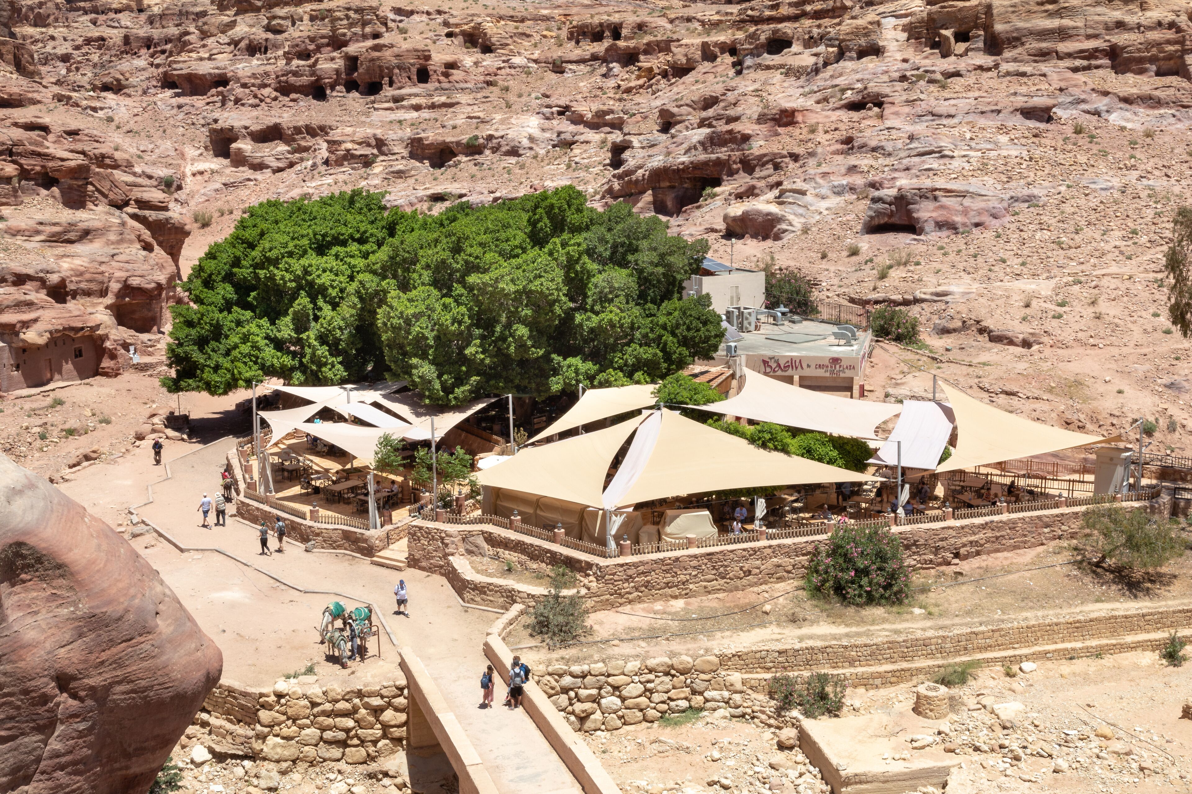 breakfast, lunch and dinner served