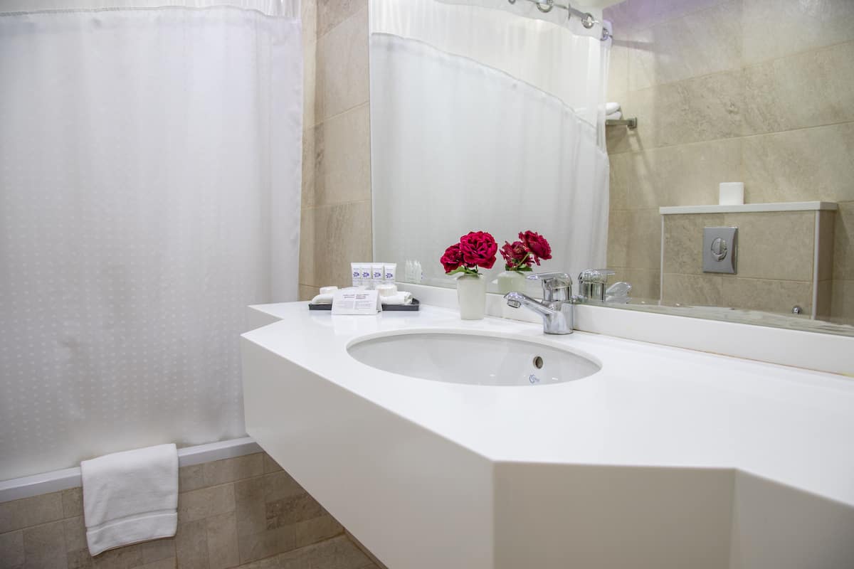 basic single room | bathroom | bathtub, hair dryer, bathrobes, slippers