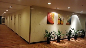 Un largo pasillo con alfombra estampada, plantas en macetas y cuadros en la pared.