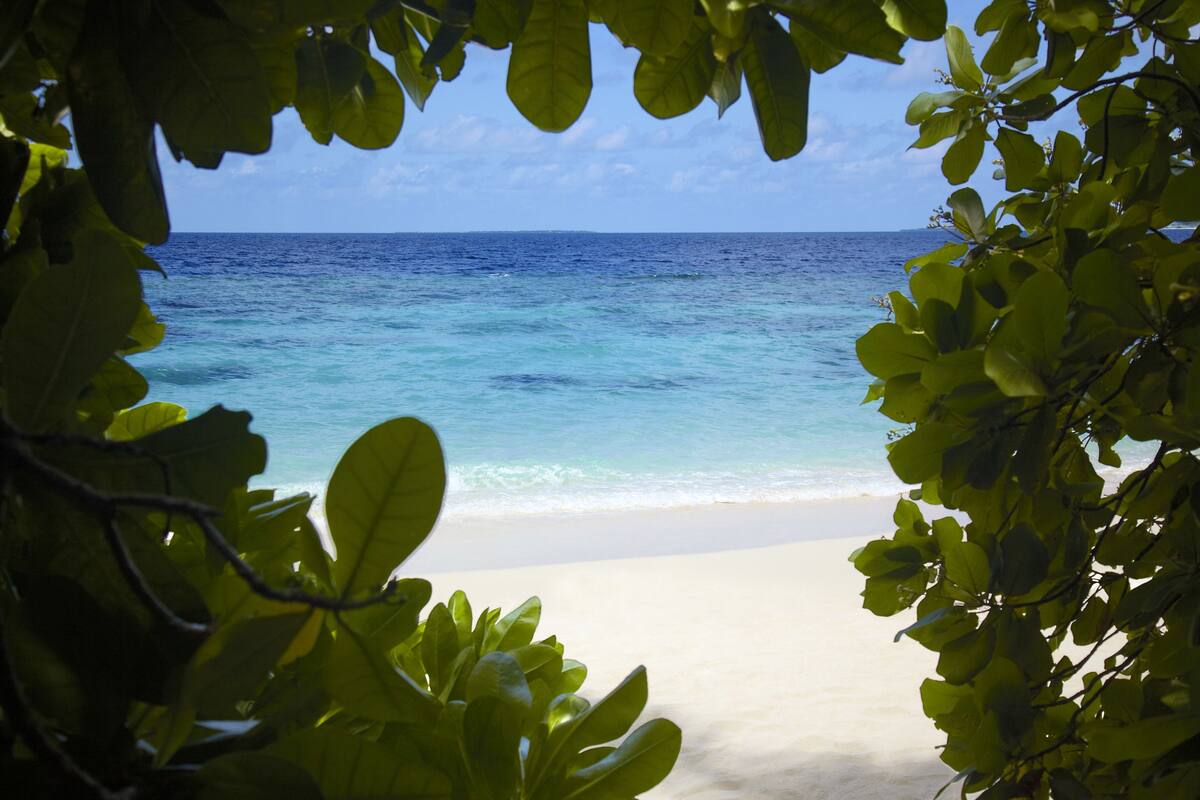 Strandudsigt indrammet af vegetation, med klart turkis vand og en sandstrand.