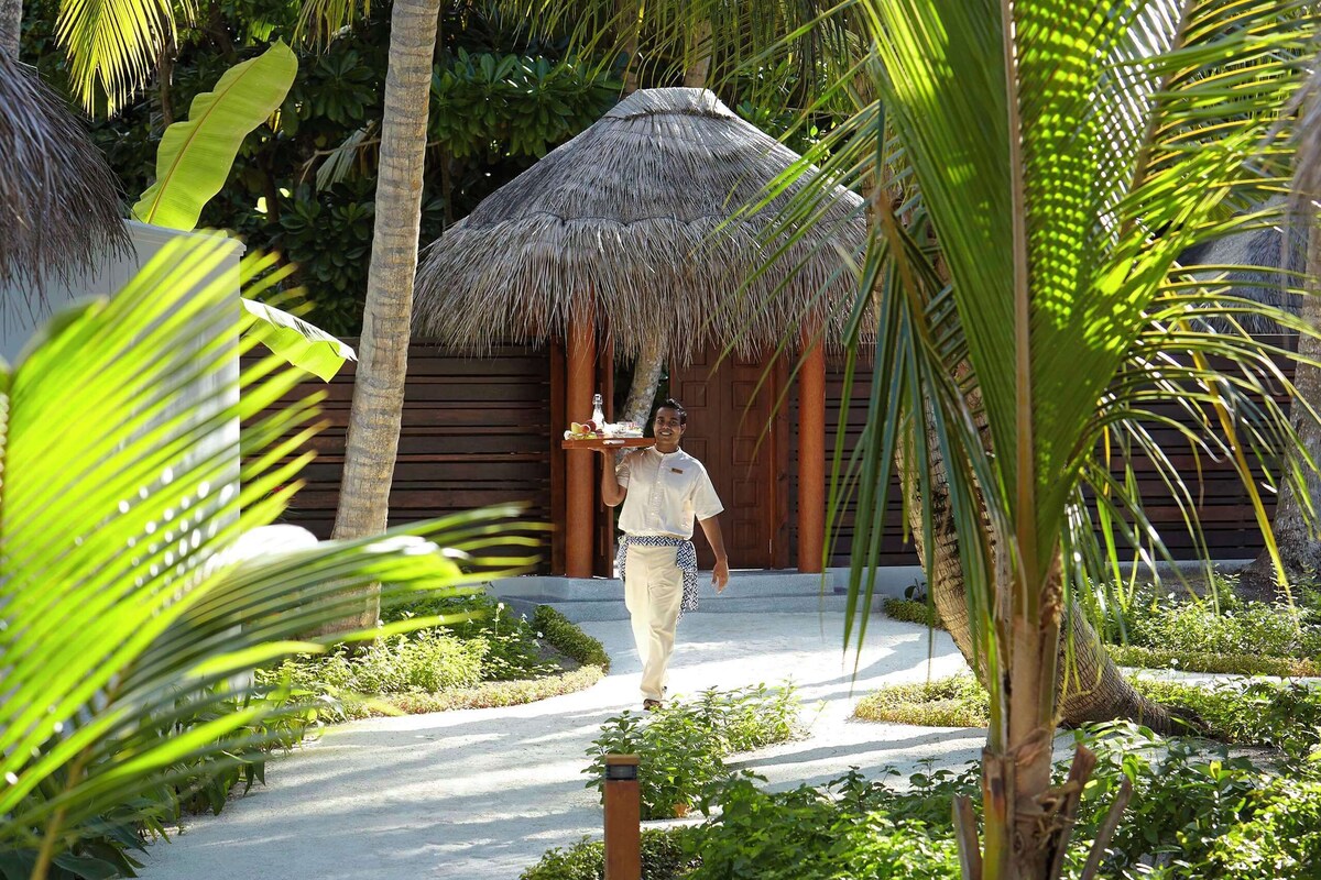 A pathway leading to a thatched-roof structure surrounded by lush greenery and palm trees.