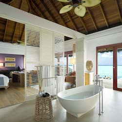 Separate tub and shower, deep soaking tub, rainfall showerhead