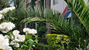 A garden with white flowers and tall green plants in front of a building with a flag.