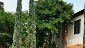 A well-maintained garden with neatly trimmed hedges, tall cypress trees, and outdoor umbrellas.