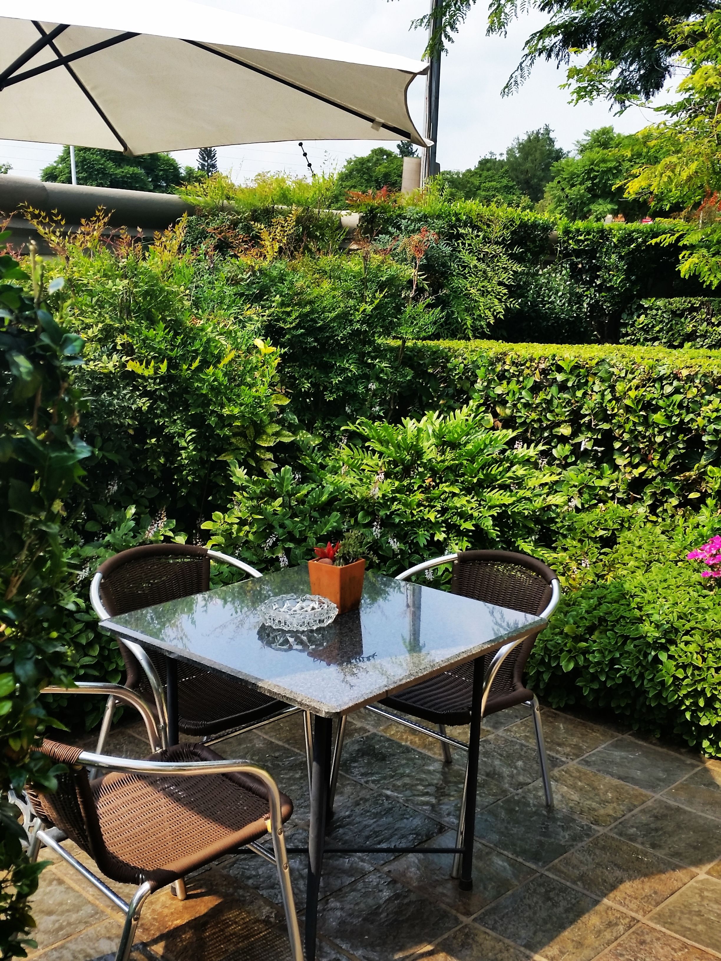 Un patio al aire libre con una mesa de vidrio y sillas de mimbre, rodeado de abundante vegetación y una gran sombrilla que proporciona sombra.