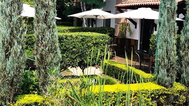 A well-maintained garden with neatly trimmed hedges, tall evergreen trees, and a water feature.