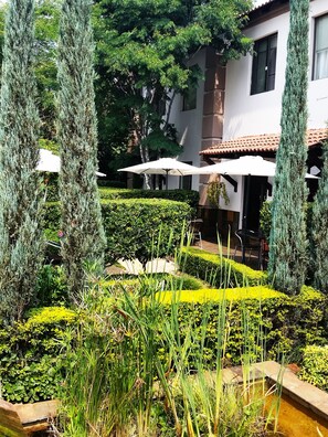 A well-maintained garden with neatly trimmed hedges, tall evergreen trees, and a water feature. - Constantia Manor Guest House (Pretoria)