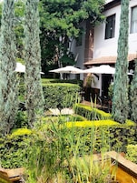 Vista desde la propiedad