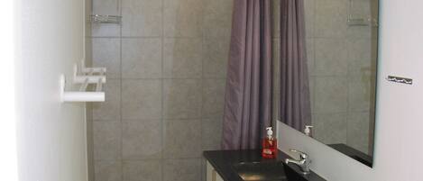 Ein Badezimmer mit Dusche, Waschbecken inklusive Spiegel und einem Handtuchhalter.