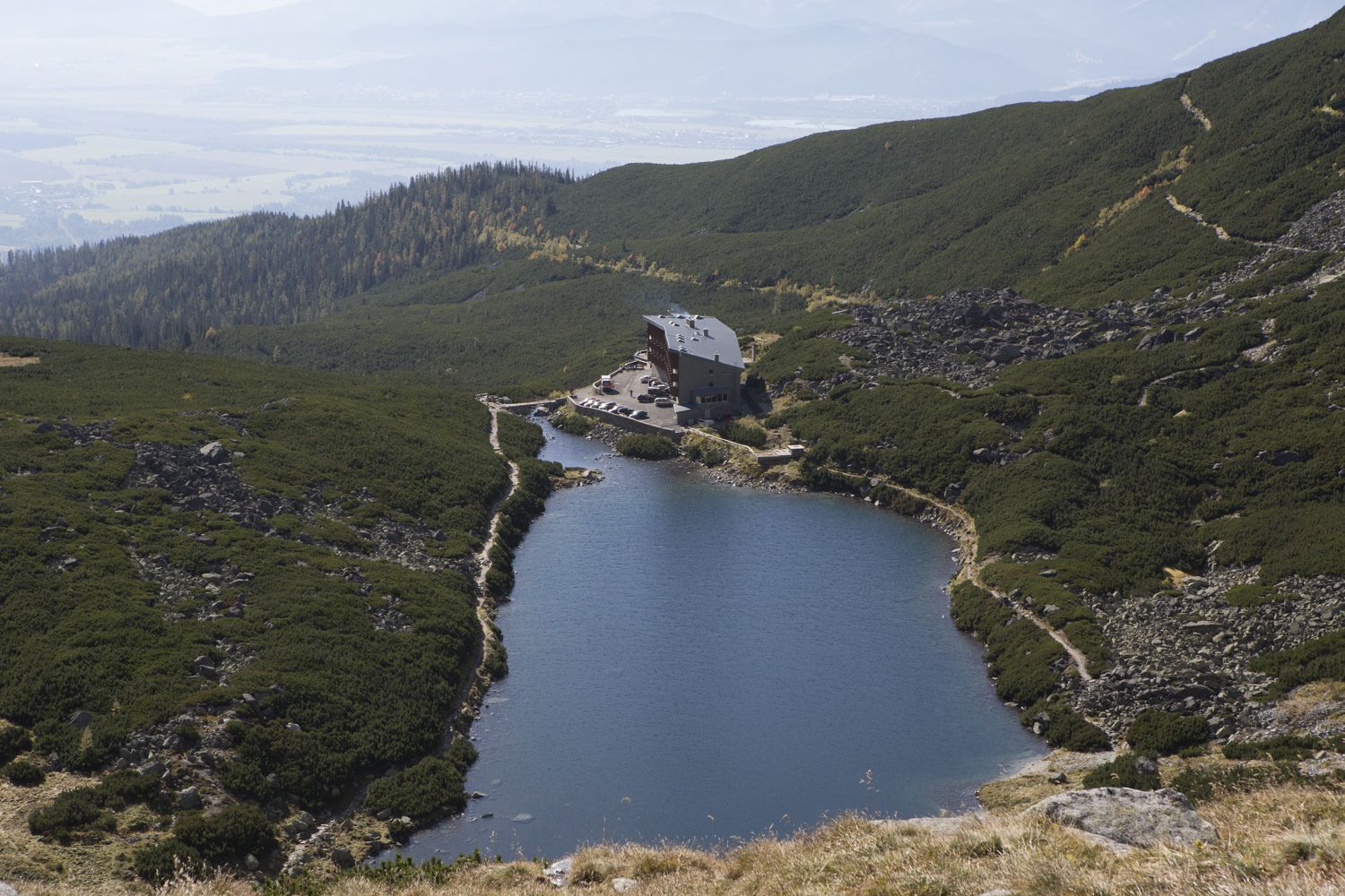 suite | hypo-allergenic bedding, minibar, in-room safe, desk