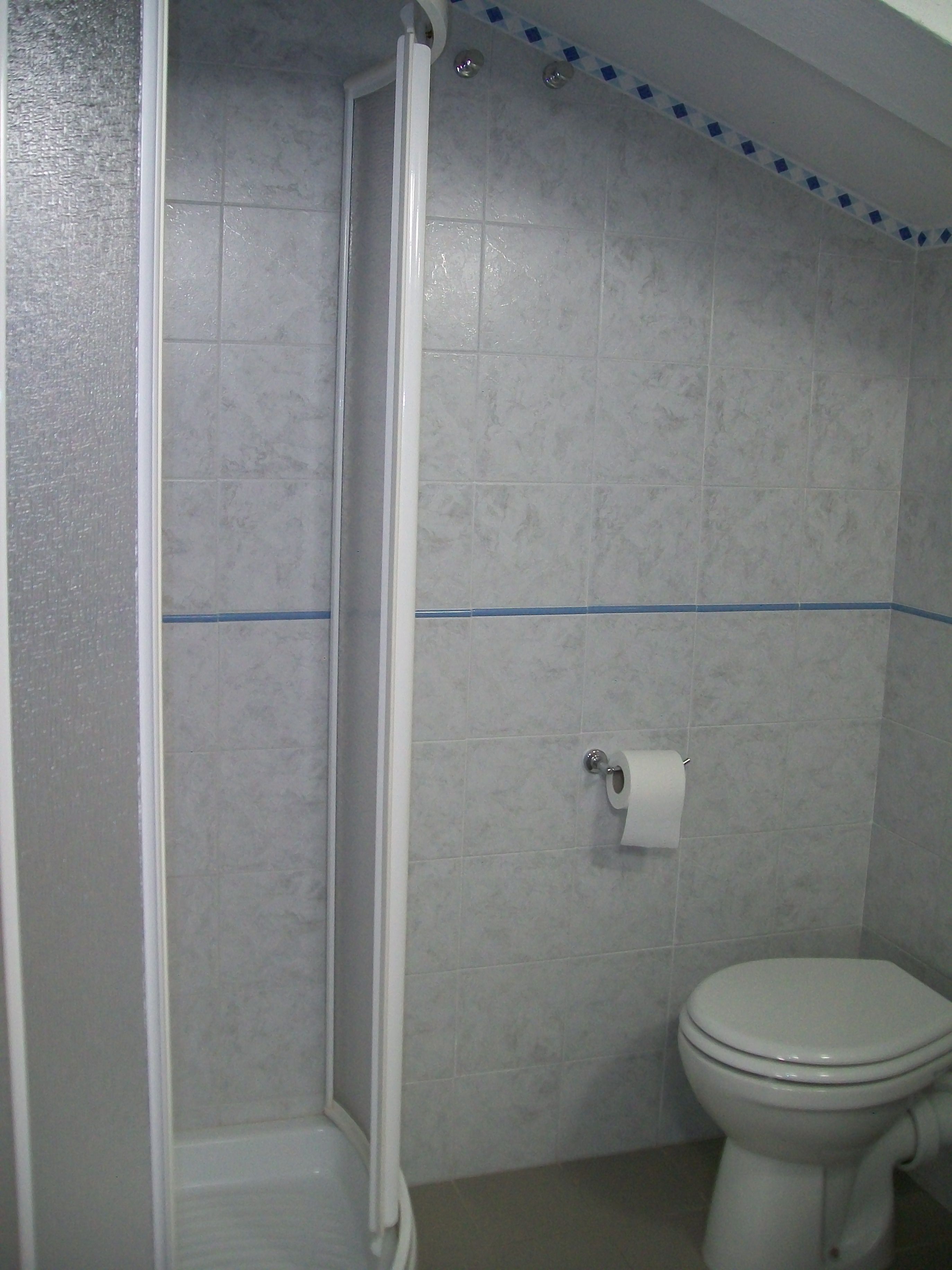 Une salle de bain équipée d’une douche, de toilettes et d’un rouleau de papier toilette accroché au mur.