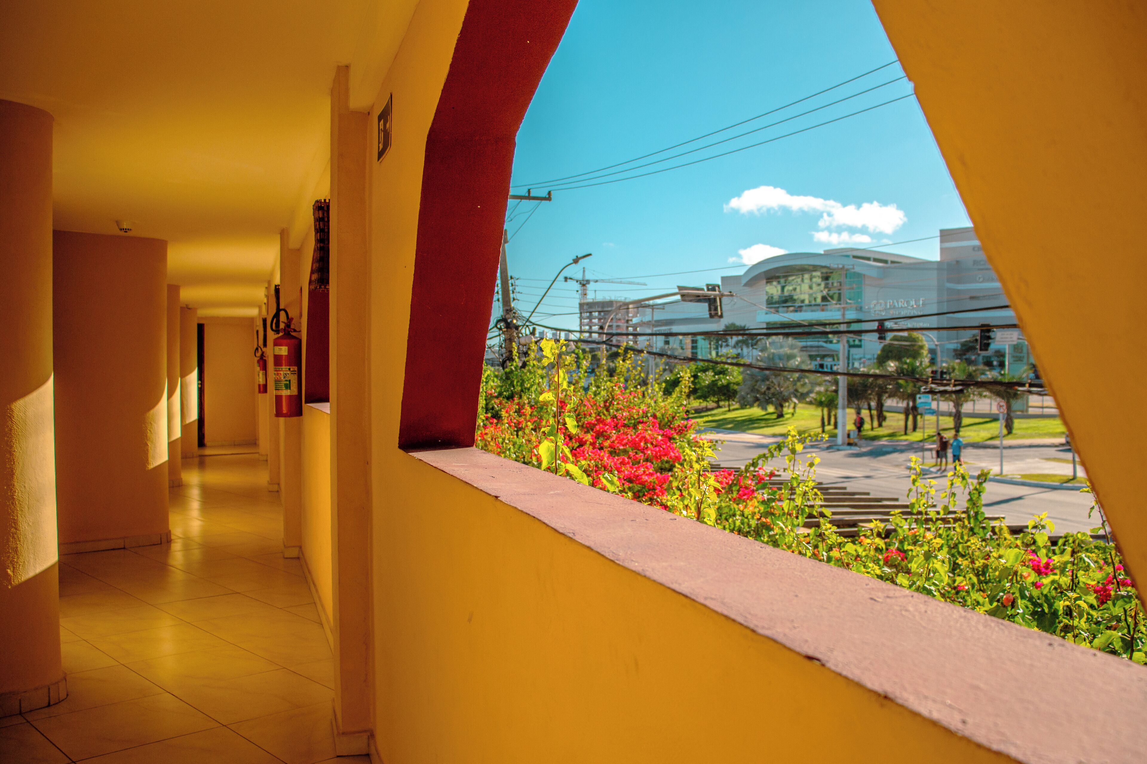 Foto - Hotel Palmanova