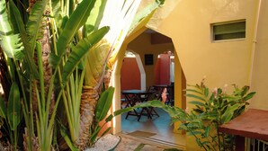 Un patio con un camino de piedra, una palmera y la entrada de un edificio con una puerta y una ventana.