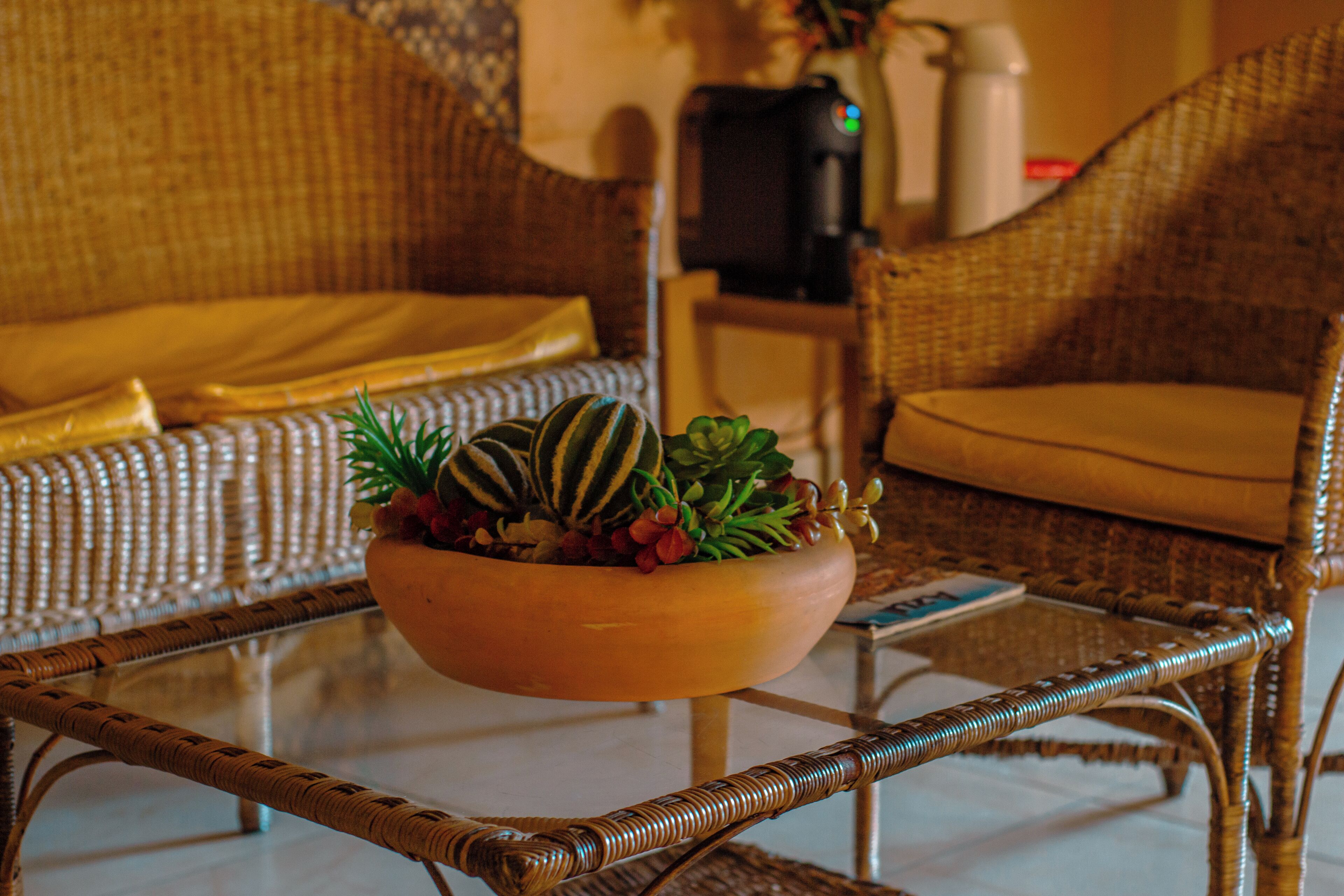 Foto - Hotel Palmanova