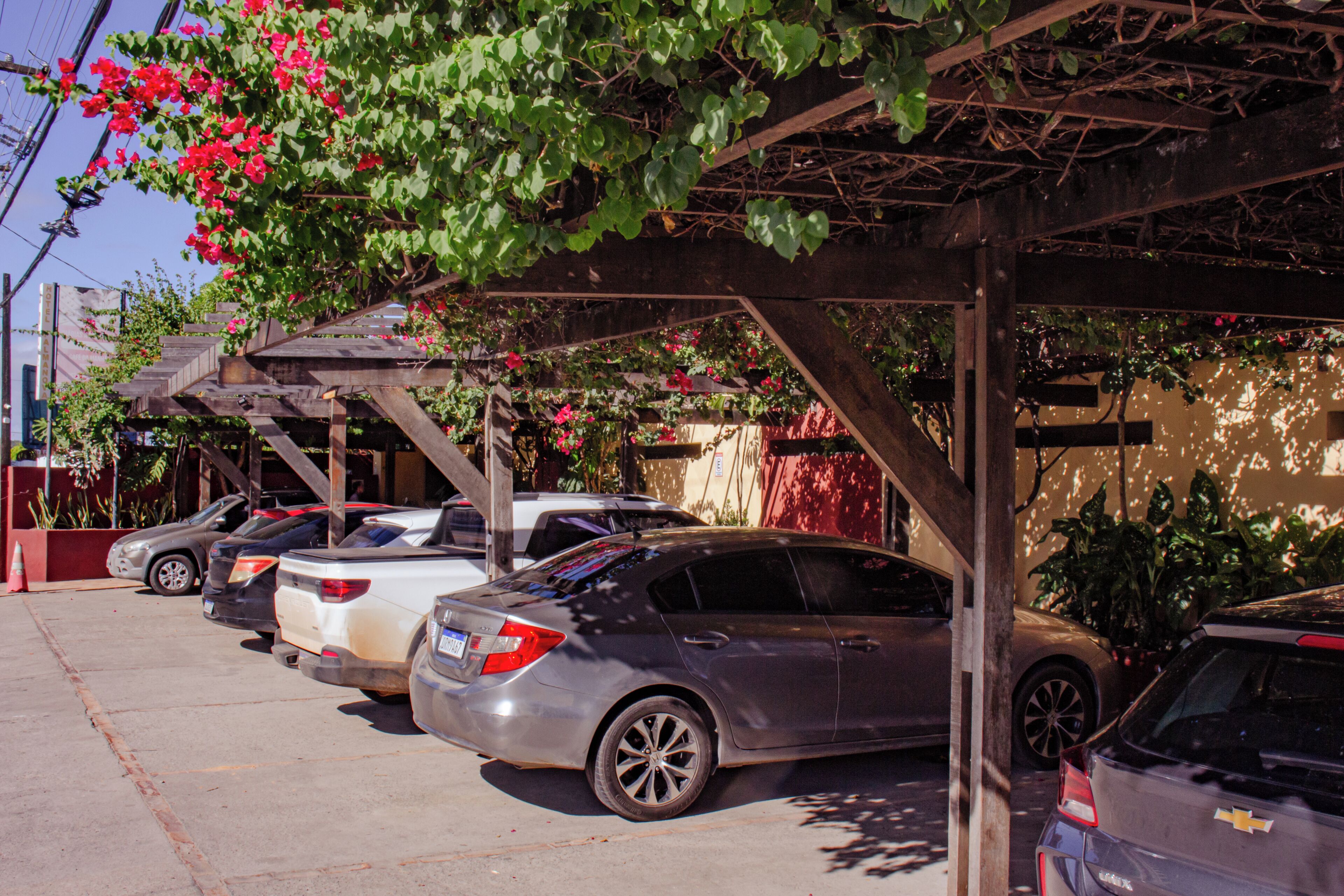 Foto - Hotel Palmanova