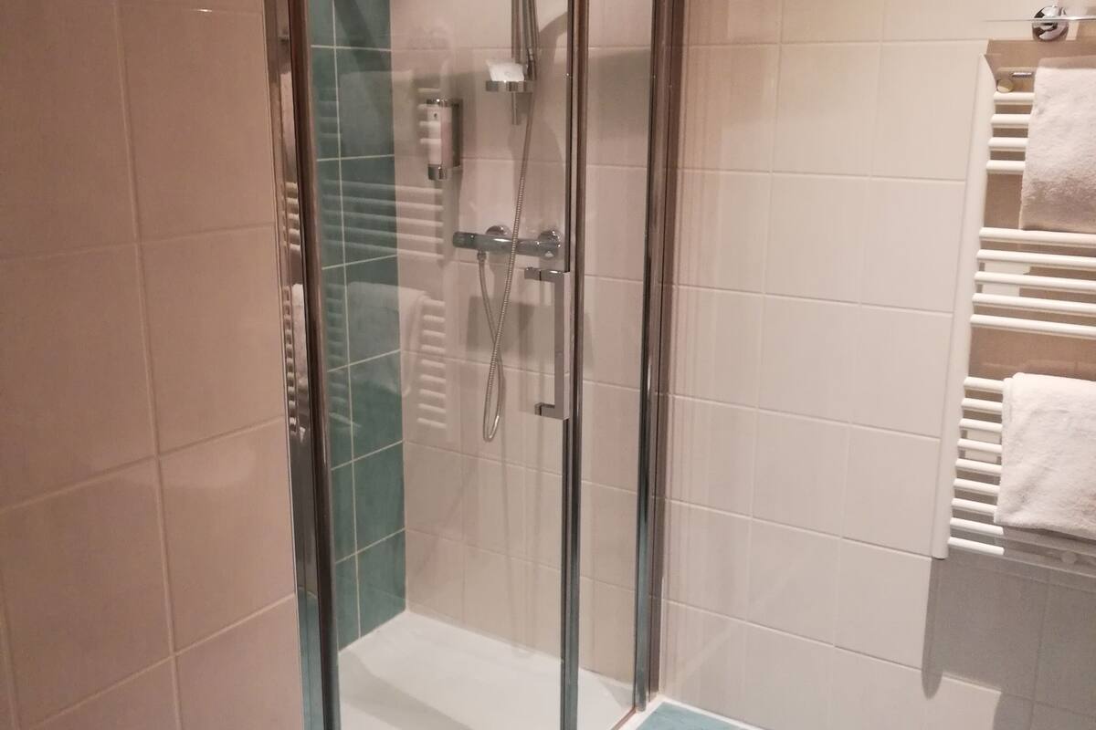 standard room, 1 single bed, non smoking | bathroom | shower, hydromassage showerhead, towels, soap
